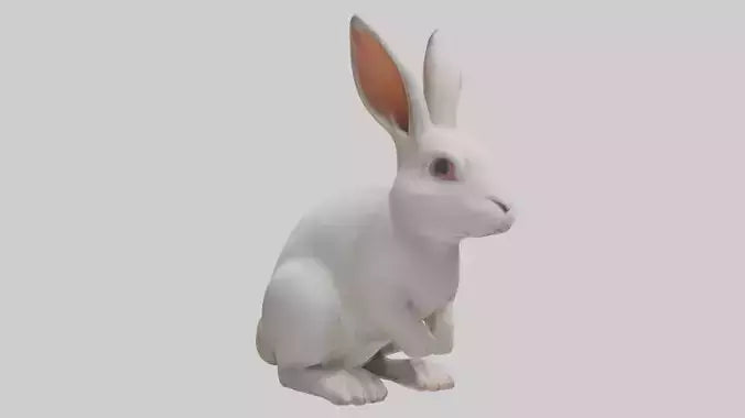 3D model Rabbit Body VR / AR / low-poly