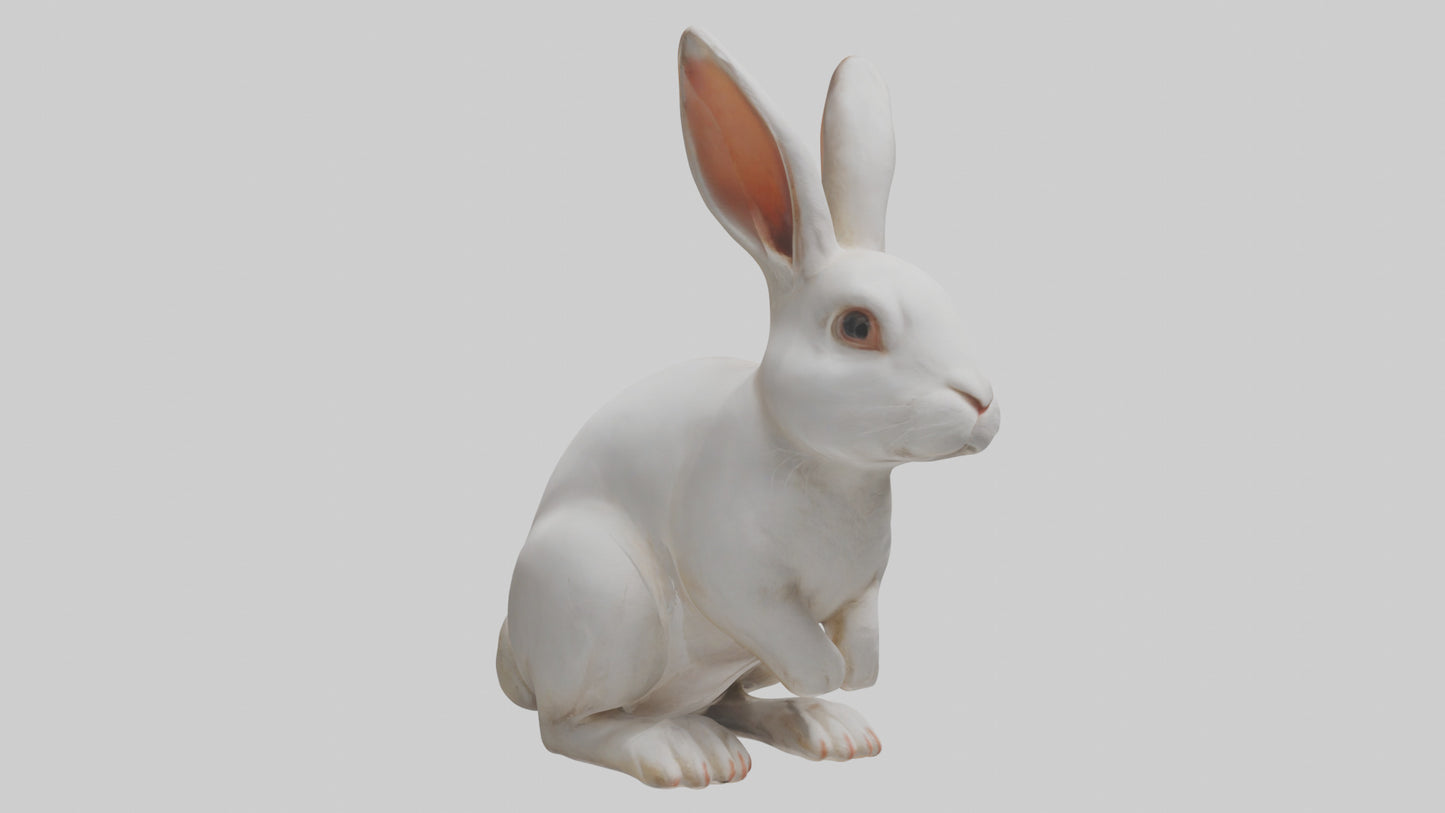 3D model Rabbit Body VR / AR / low-poly