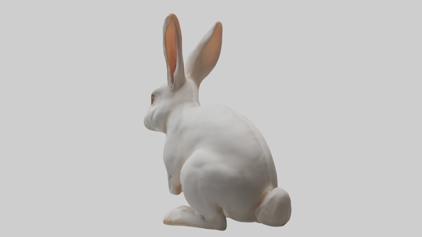 3D model Rabbit Body VR / AR / low-poly