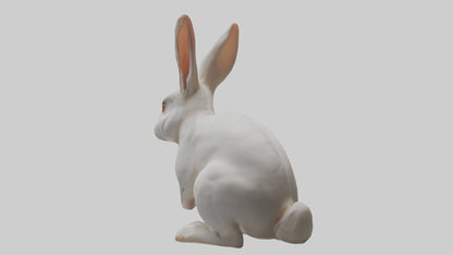3D model Rabbit Body VR / AR / low-poly