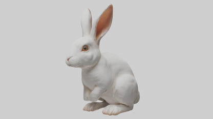 3D model Rabbit Body VR / AR / low-poly