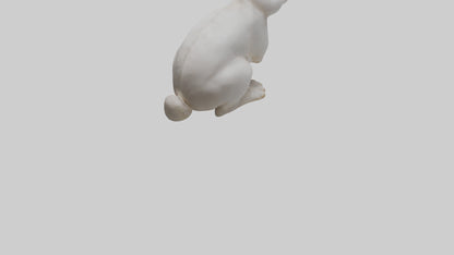 3D model Rabbit Body VR / AR / low-poly