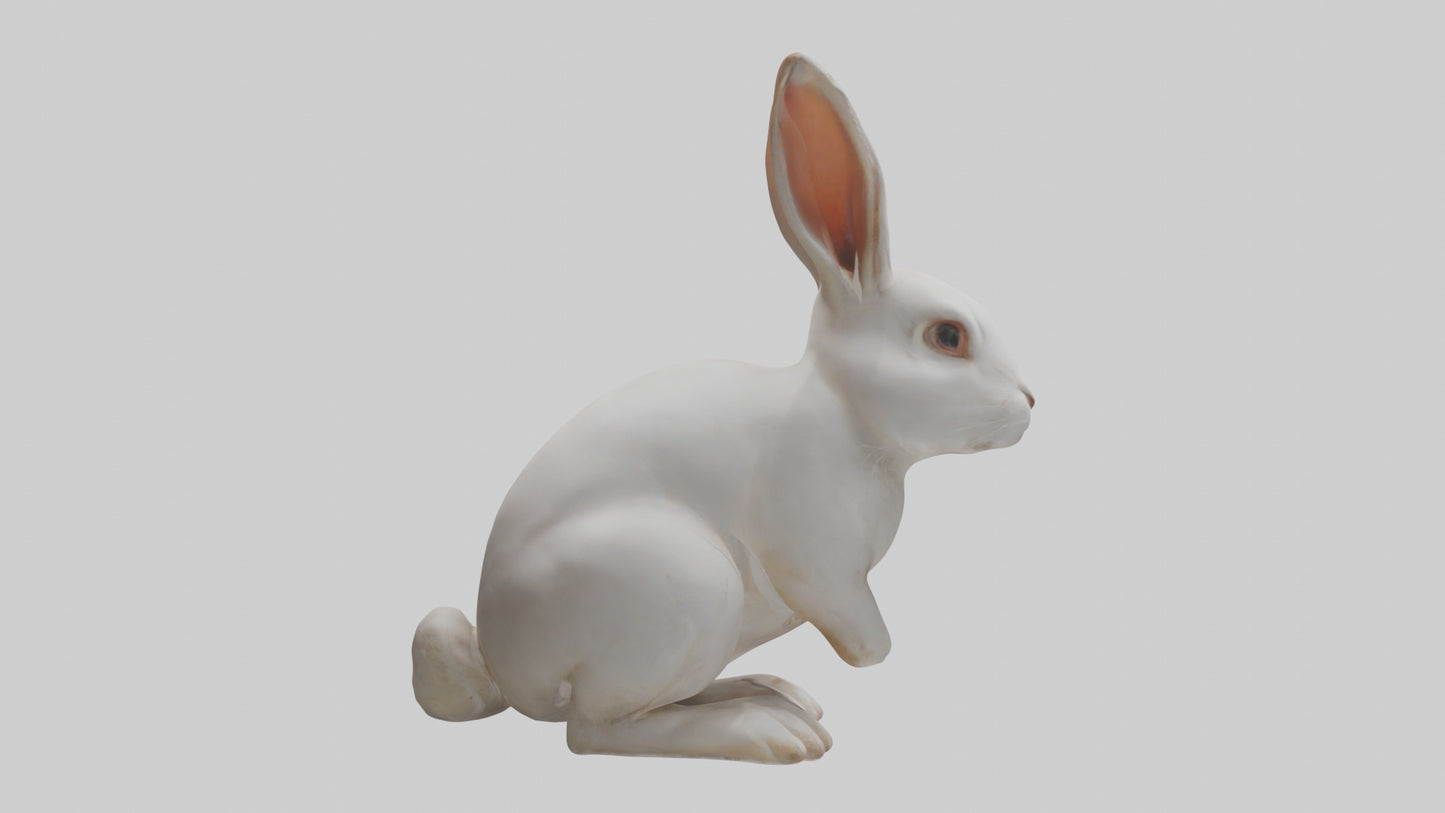 3D model Rabbit Body VR / AR / low-poly