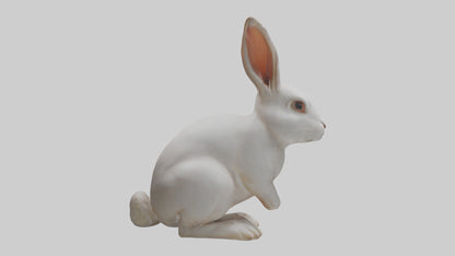 3D model Rabbit Body VR / AR / low-poly