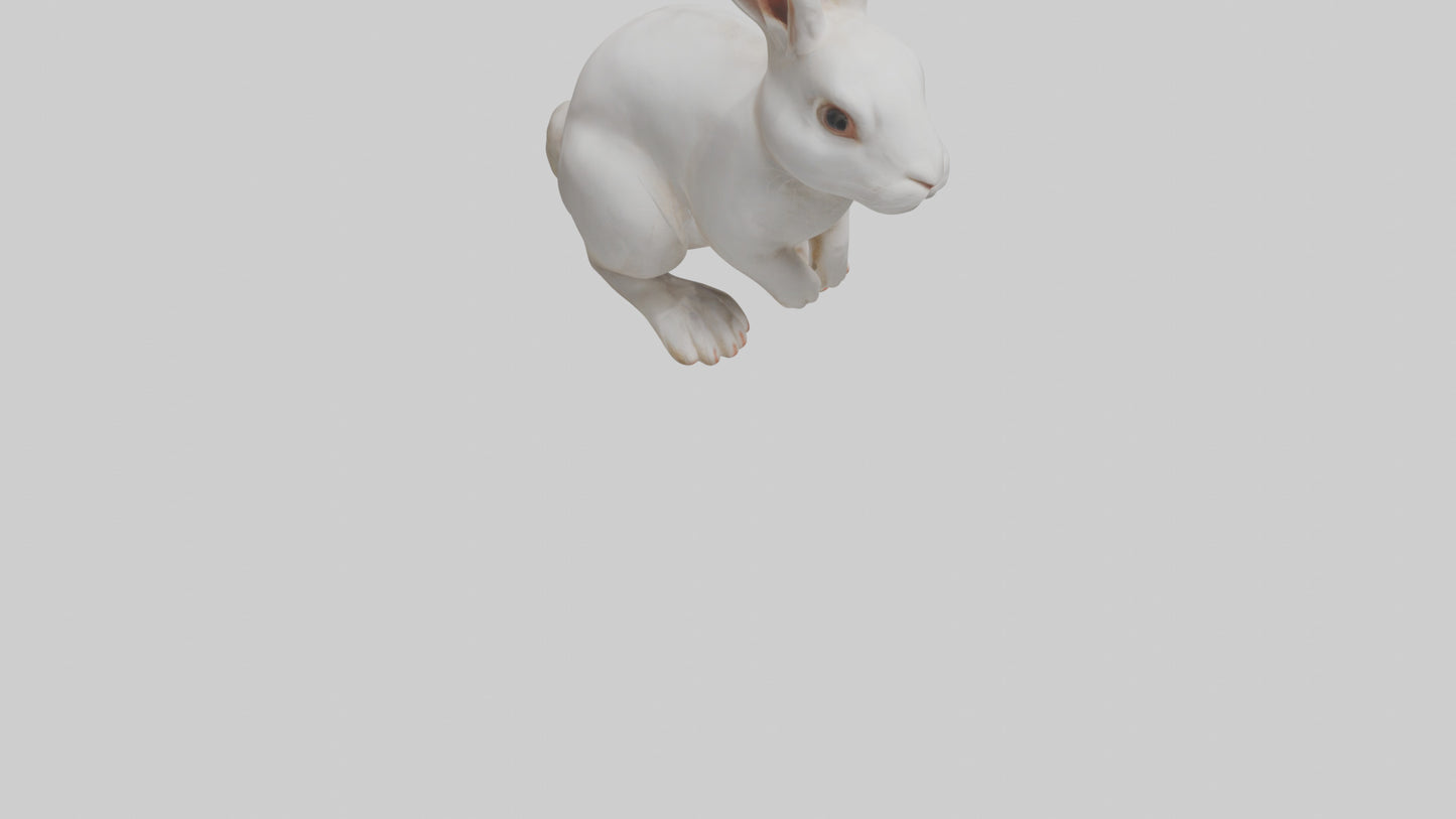 3D model Rabbit Body VR / AR / low-poly