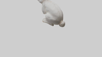 3D model Rabbit Body VR / AR / low-poly