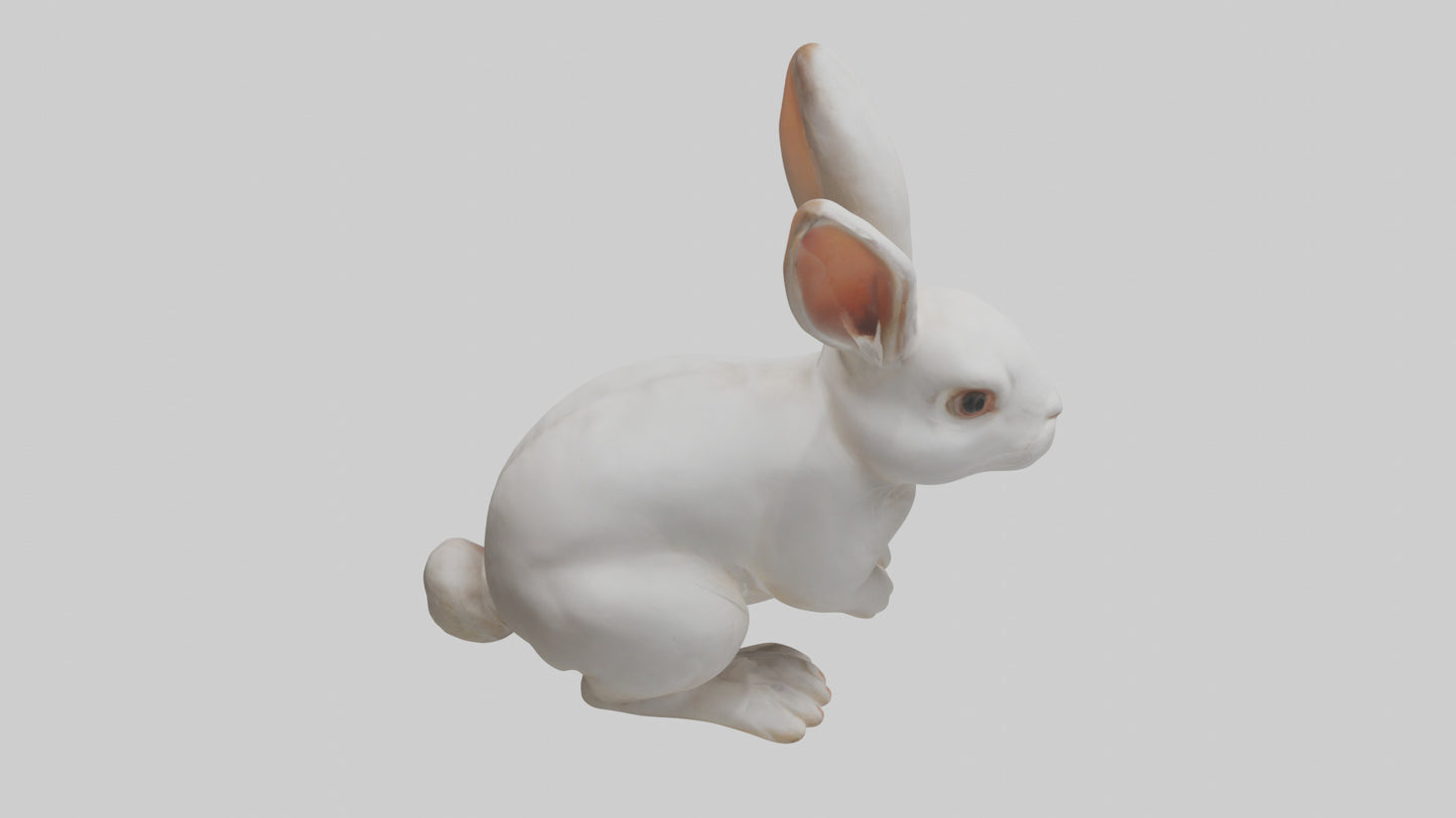 3D model Rabbit Body VR / AR / low-poly