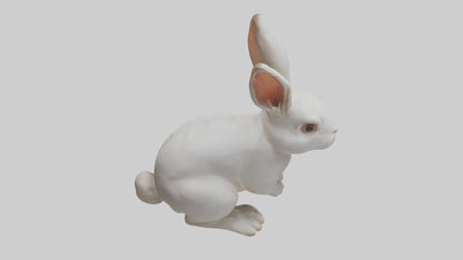 3D model Rabbit Body VR / AR / low-poly