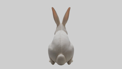 3D model Rabbit Body VR / AR / low-poly