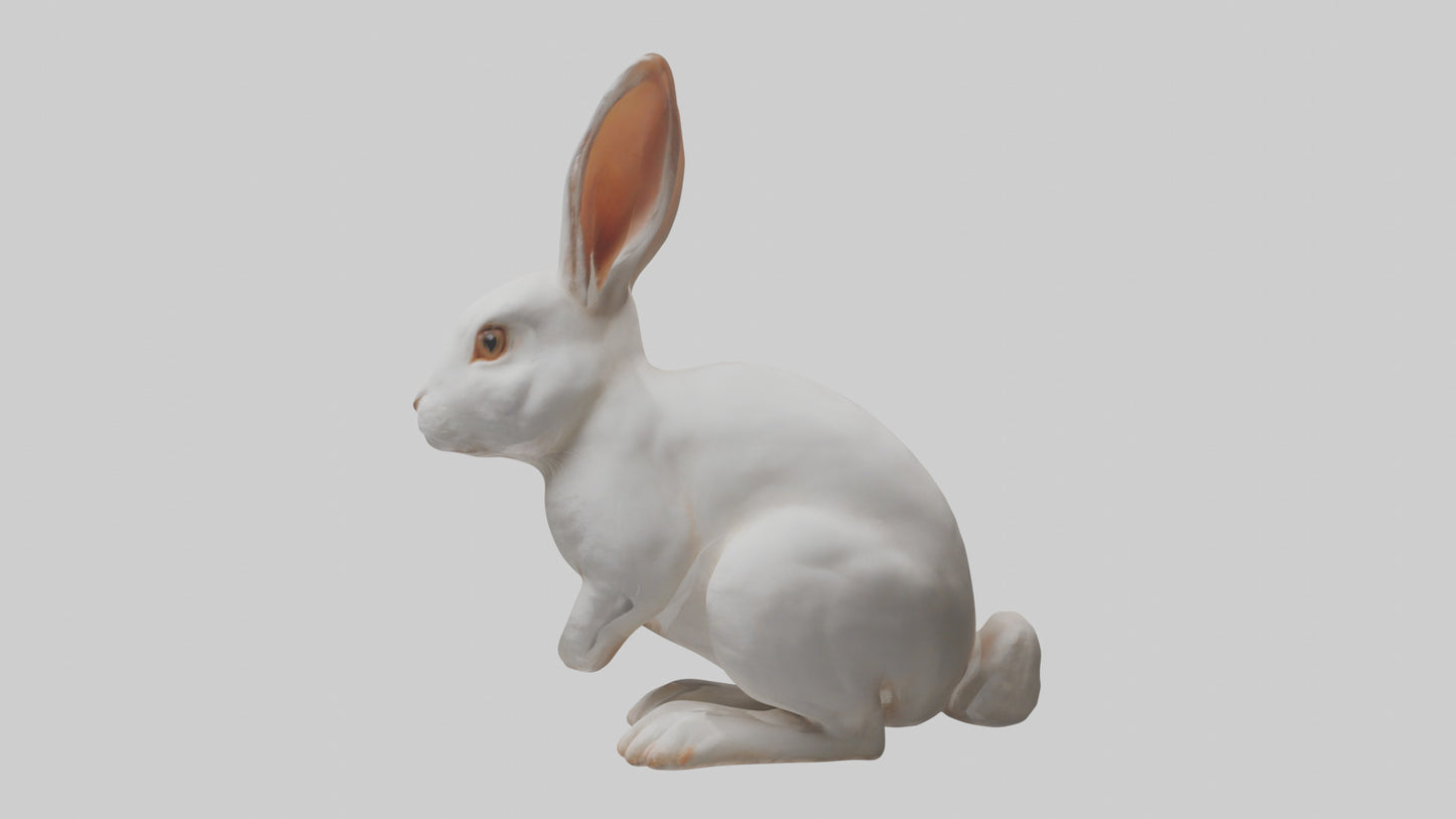 3D model Rabbit Body VR / AR / low-poly