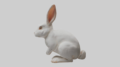3D model Rabbit Body VR / AR / low-poly