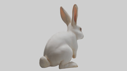 3D model Rabbit Body VR / AR / low-poly