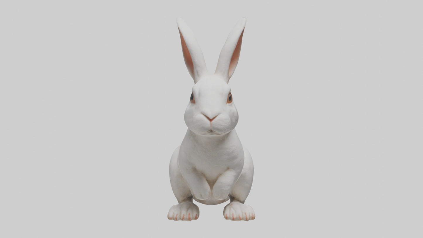 3D model Rabbit Body VR / AR / low-poly