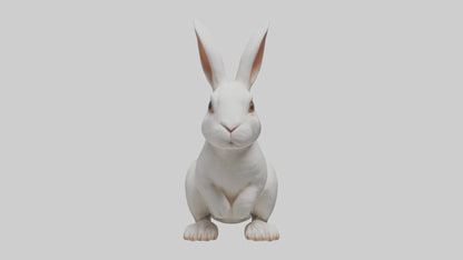 3D model Rabbit Body VR / AR / low-poly