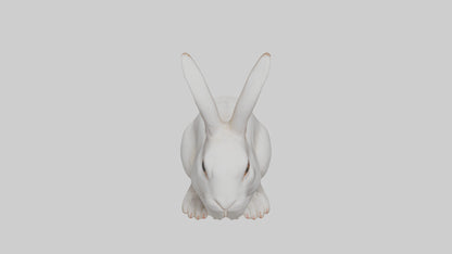 3D model Rabbit Body VR / AR / low-poly