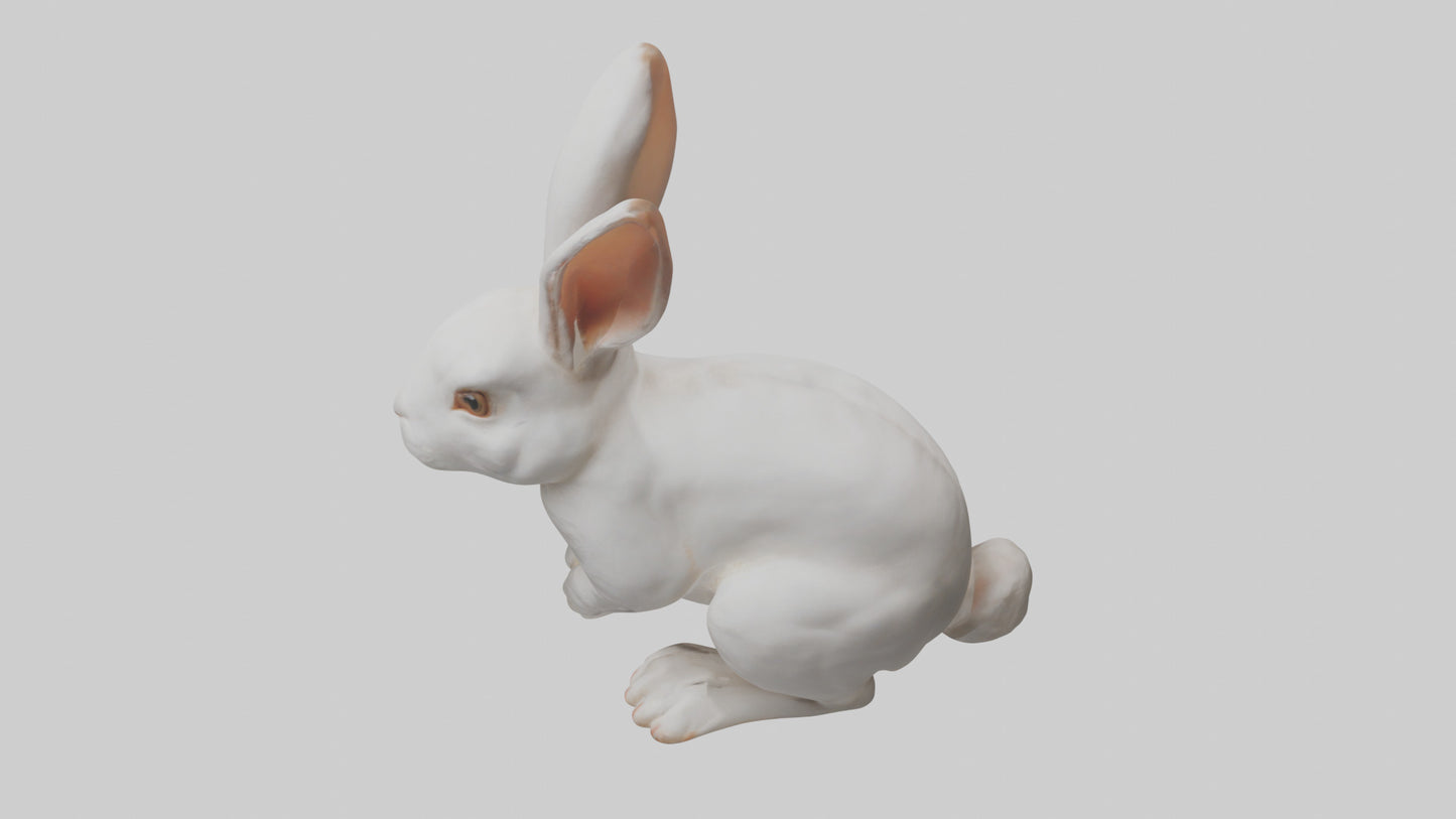 3D model Rabbit Body VR / AR / low-poly