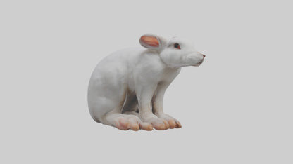 3D model Rabbit Feet VR / AR / low-poly