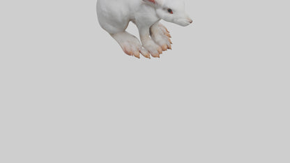 3D model Rabbit Feet VR / AR / low-poly