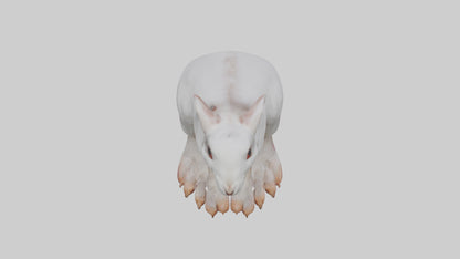 3D model Rabbit Feet VR / AR / low-poly