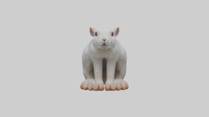 3D model Rabbit Feet VR / AR / low-poly
