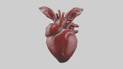 3D model Rabbit Heart VR / AR / low-poly