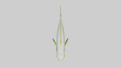 3D model Rabbitfish darting through reef model VR / AR / low-poly