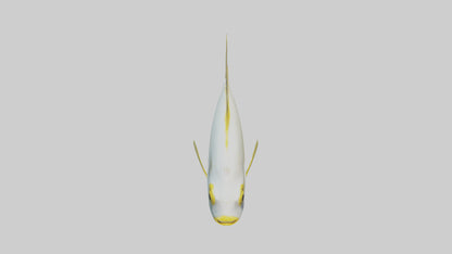 3D model Rabbitfish darting through reef model VR / AR / low-poly