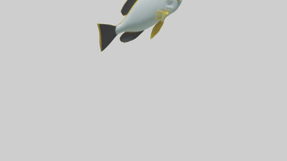 3D model Rabbitfish darting through reef model VR / AR / low-poly