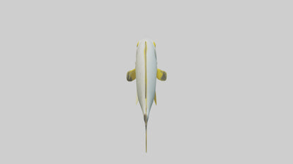 3D model Rabbitfish darting through reef model VR / AR / low-poly