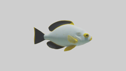 3D model Rabbitfish darting through reef model VR / AR / low-poly