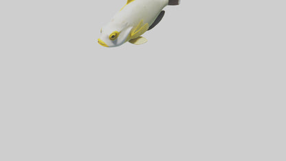 3D model Rabbitfish darting through reef model VR / AR / low-poly