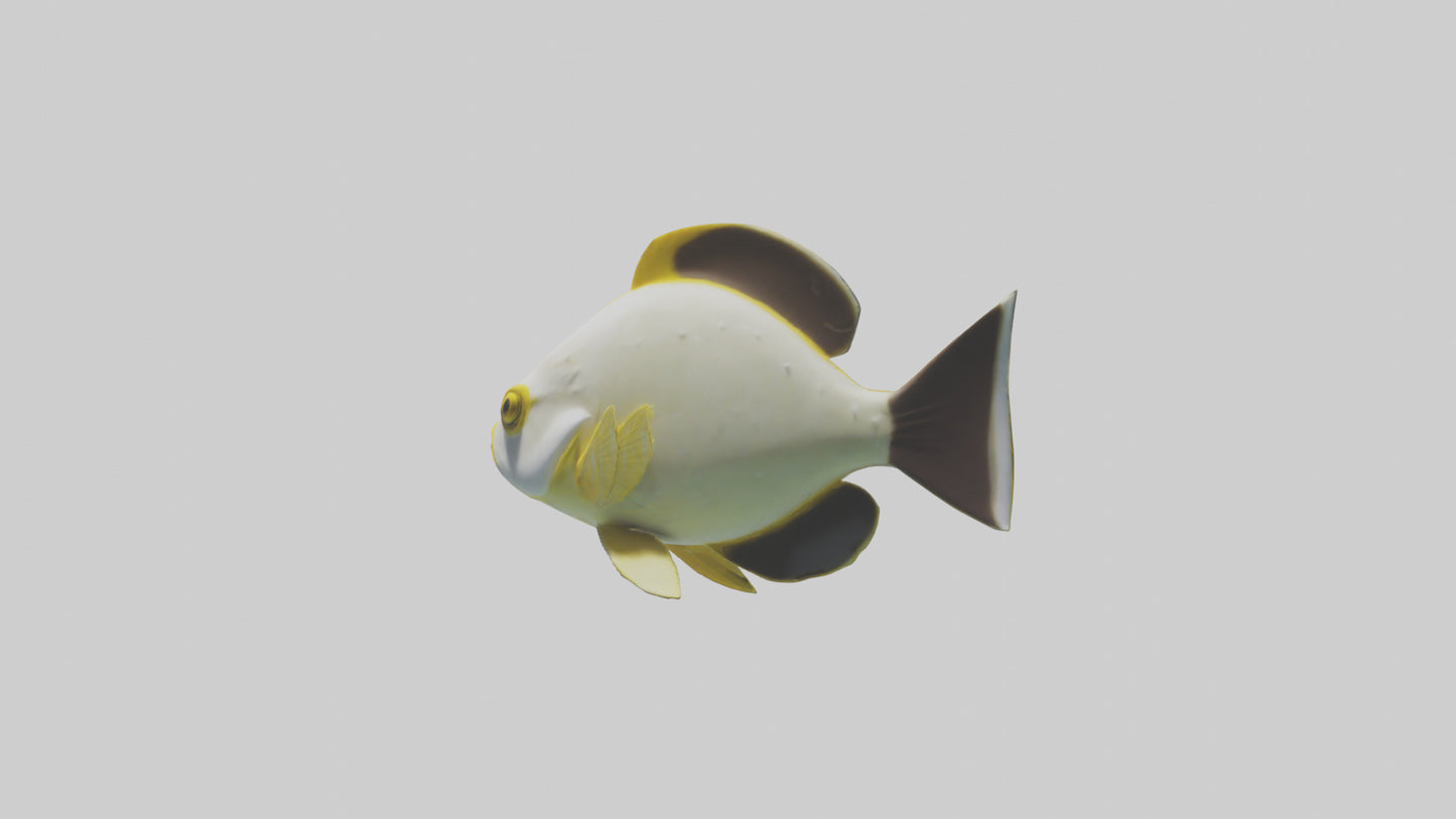 3D model Rabbitfish darting through reef model VR / AR / low-poly
