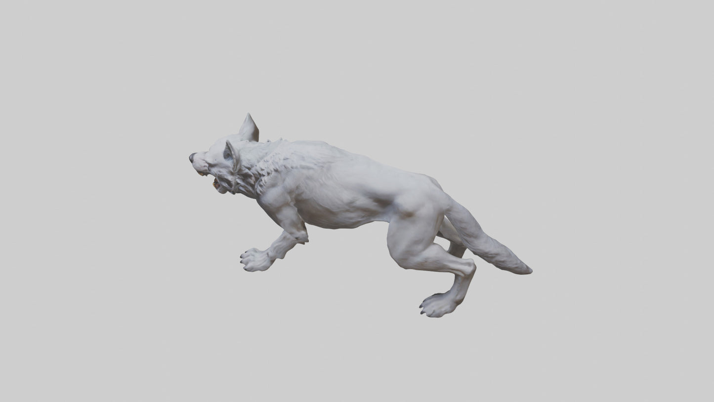 3D model Rabid wolf model VR / AR / low-poly