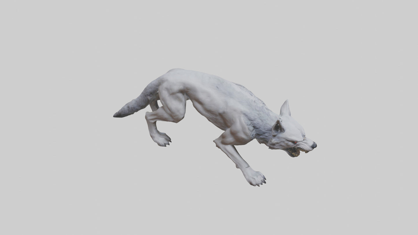 3D model Rabid wolf model VR / AR / low-poly