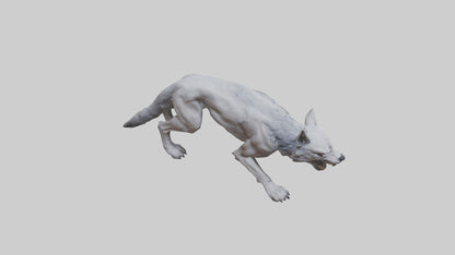 3D model Rabid wolf model VR / AR / low-poly