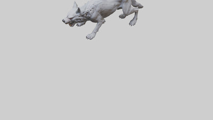 3D model Rabid wolf model VR / AR / low-poly