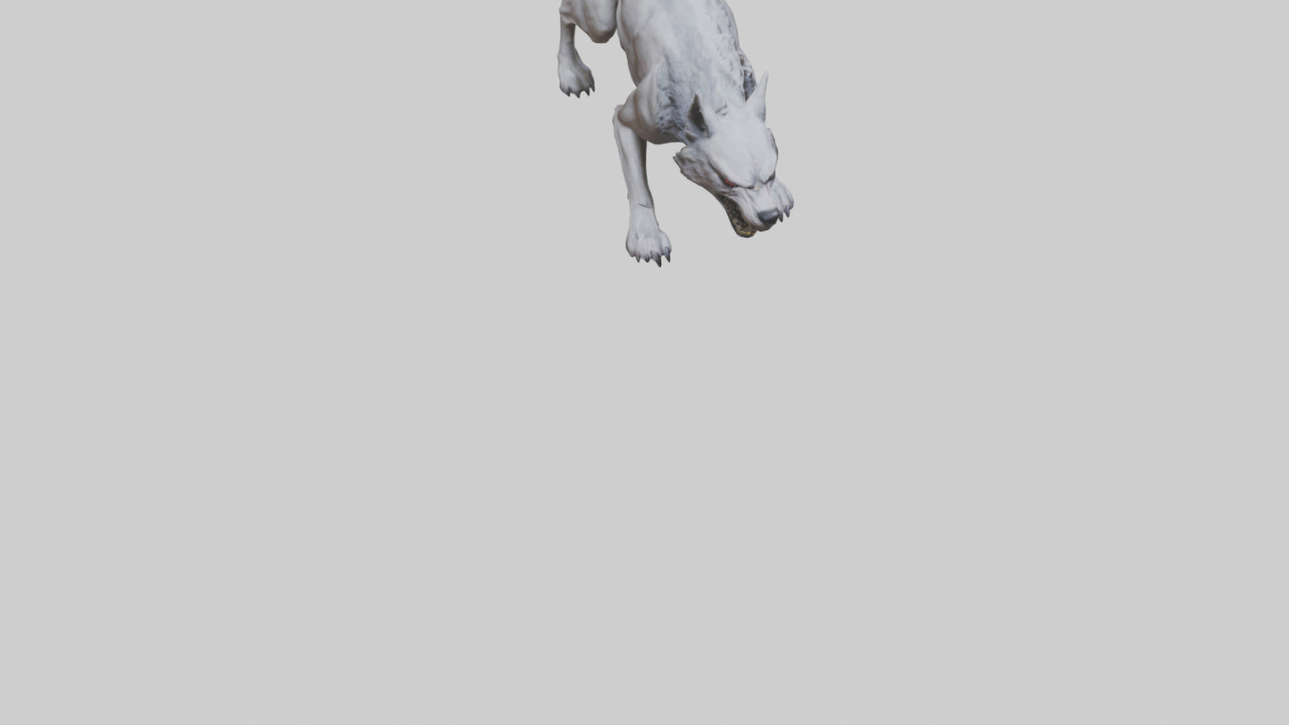 3D model Rabid wolf model VR / AR / low-poly