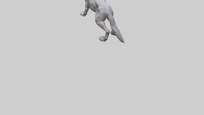 3D model Rabid wolf model VR / AR / low-poly