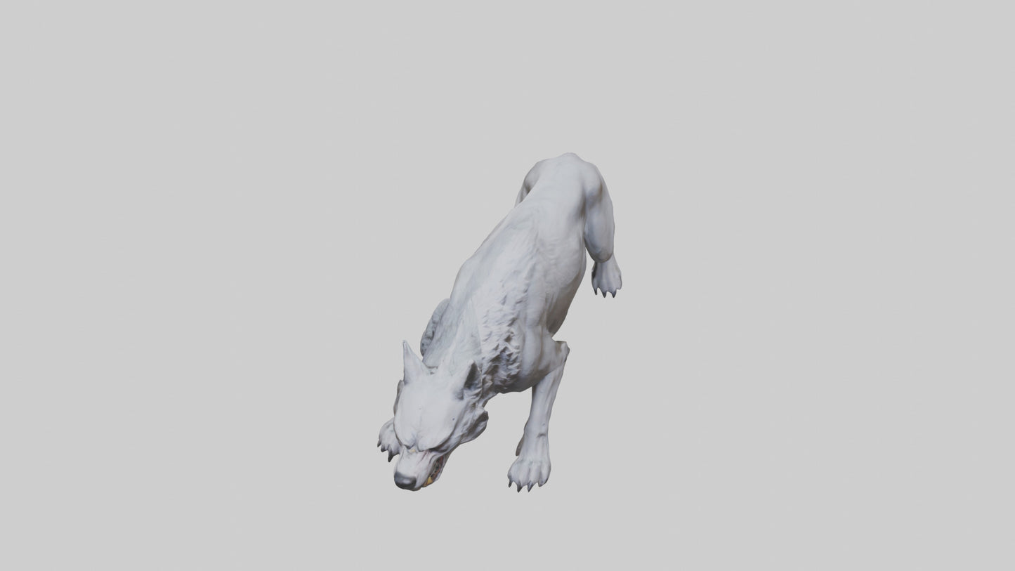 3D model Rabid wolf model VR / AR / low-poly
