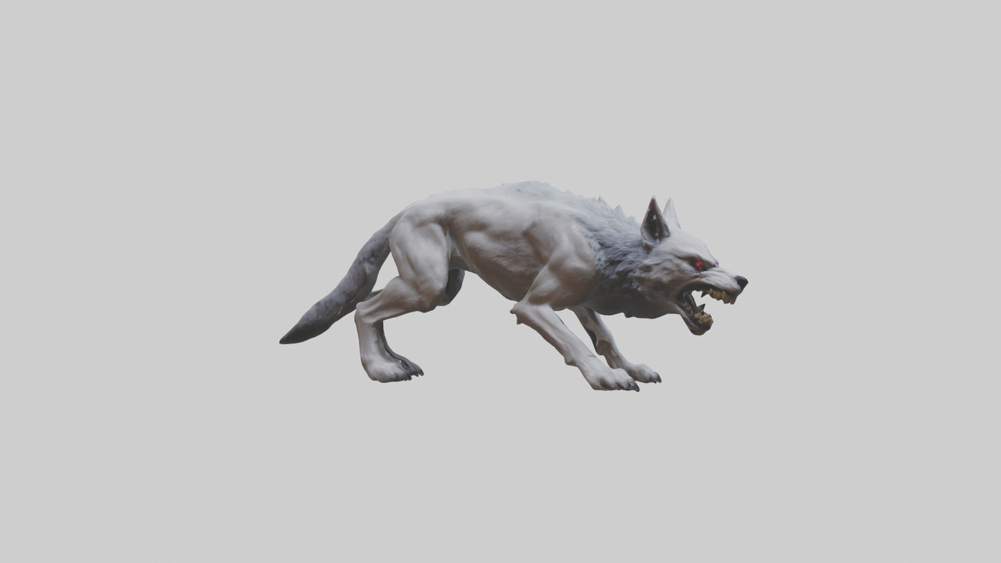 3D model Rabid wolf model VR / AR / low-poly