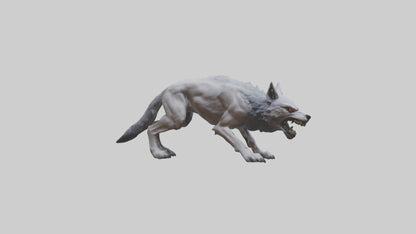 3D model Rabid wolf model VR / AR / low-poly