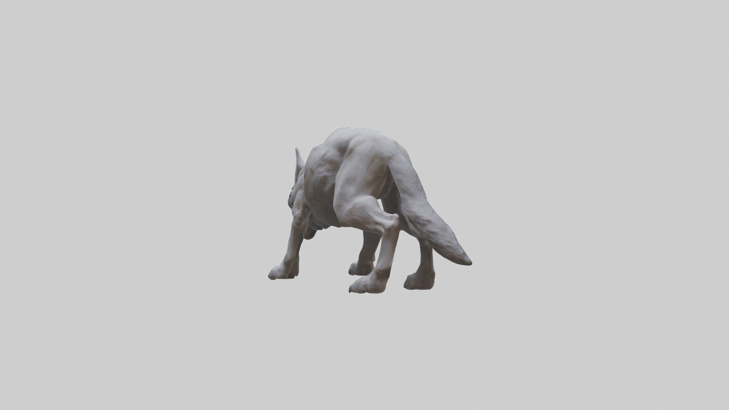 3D model Rabid wolf model VR / AR / low-poly