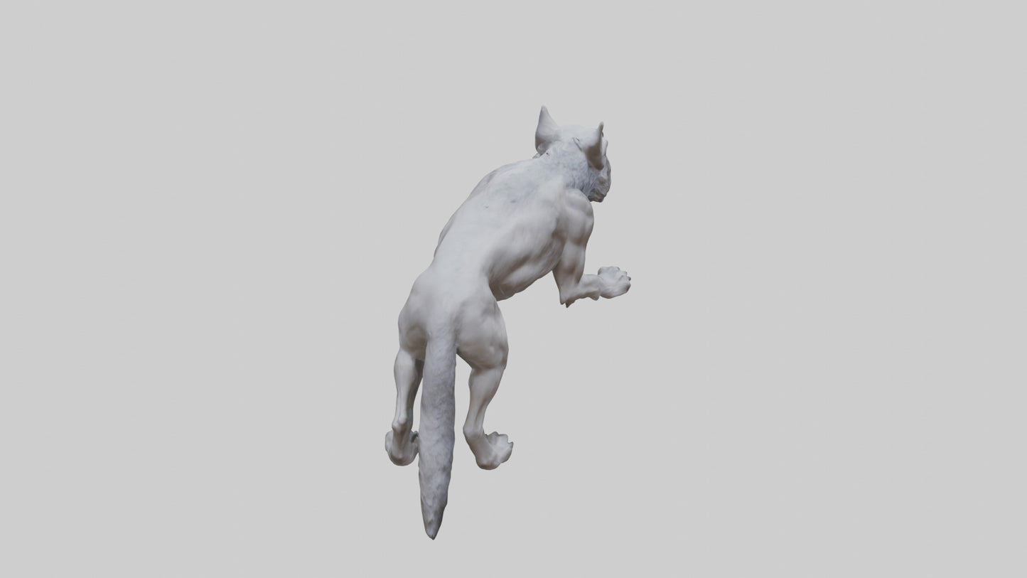 3D model Rabid wolf model VR / AR / low-poly