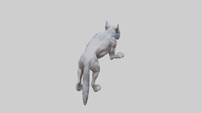 3D model Rabid wolf model VR / AR / low-poly