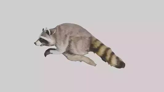 3D model Raccoon climbing model VR / AR / low-poly
