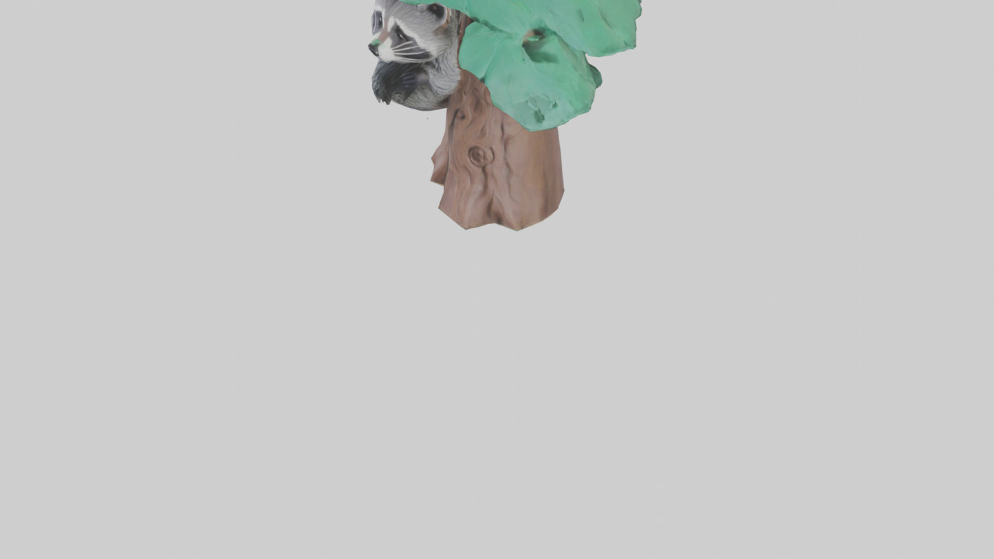 3D model Raccoon climbing tree model VR / AR / low-poly