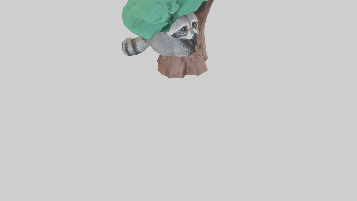 3D model Raccoon climbing tree model VR / AR / low-poly