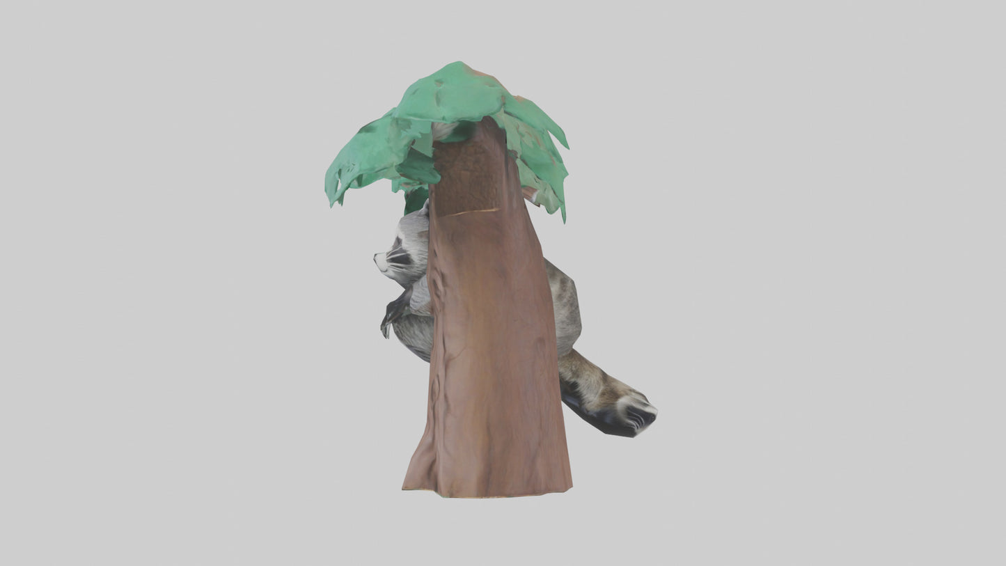 3D model Raccoon climbing tree model VR / AR / low-poly