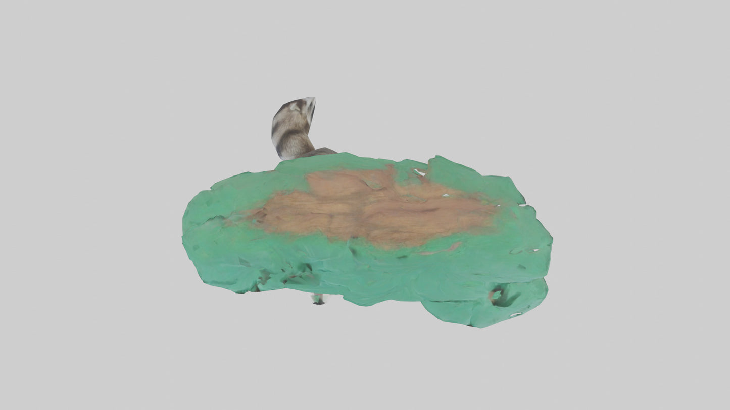 3D model Raccoon climbing tree model VR / AR / low-poly