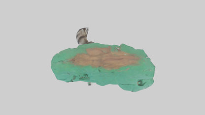 3D model Raccoon climbing tree model VR / AR / low-poly